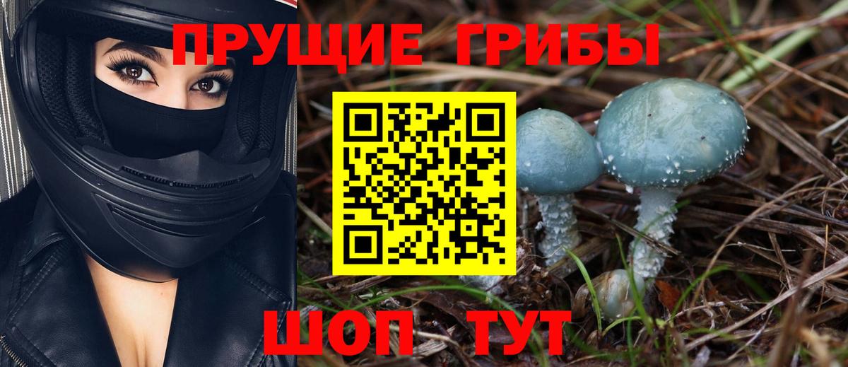 Галлюциногенные грибы MAGIC MUSHROOMS Зеленогорск