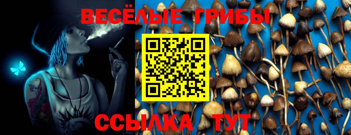 Псилоцибиновые грибы MAGIC MUSHROOMS  купить   Зеленогорск  Псилоцибиновые грибы мицелий  Вход с VPN 